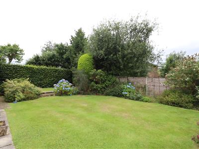 Picture 28